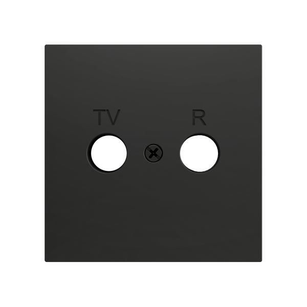 ZS70. PŁYTKA MASKUJĄCA DO WKŁADKI TV-R/SAT 70 X 70 MM
