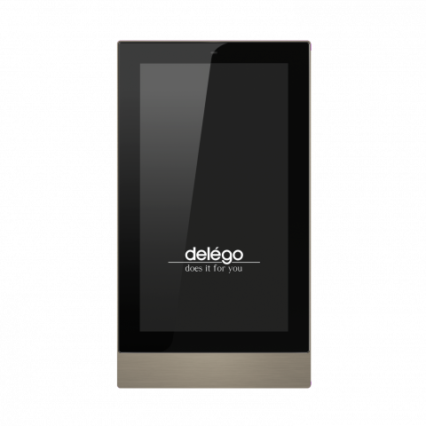 RAMKA METAL DO PANELU DELEGO 5`` BRASS