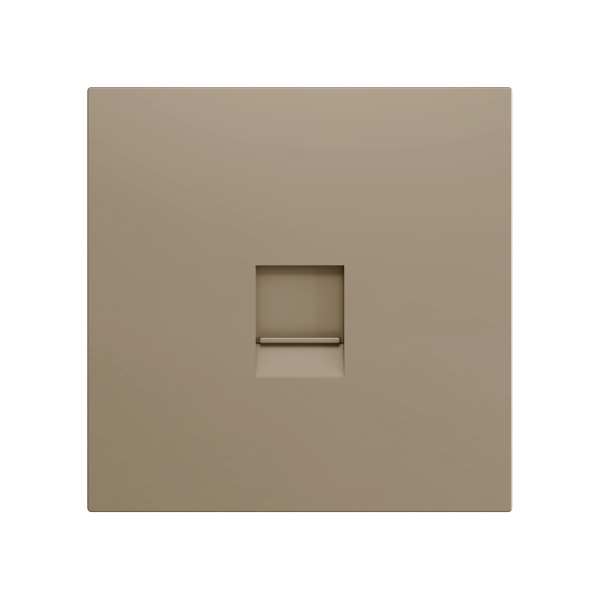 ZS70. Cover plate for RJ45 connector 70x70 mm - 1 insert - Champagne