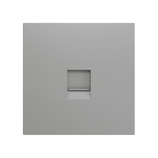 ZS70. Cover plate for RJ45 connector 70x70 mm - 1 insert - Silver