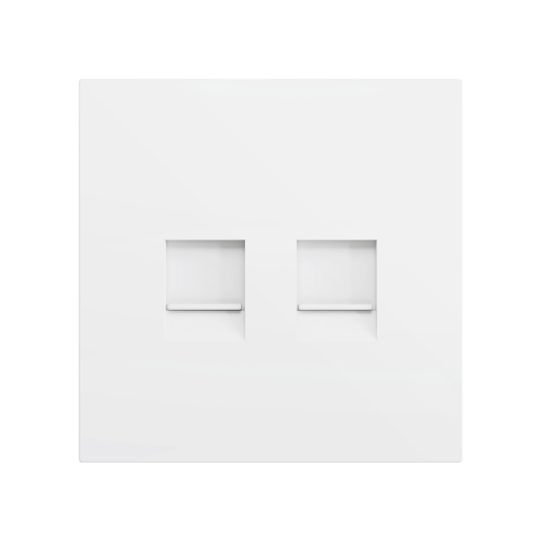 ZS70. Cover plate for RJ45 connector 70x70 mm - 2 inserts - Matt white