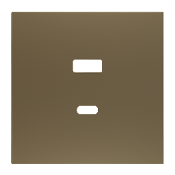 ZS70. Cover plate for double USB C+A  charger 70x70 mm - Champagne