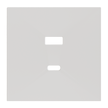 ZS70. Cover plate for double USB C+A charger 70x70 mm - Matt white