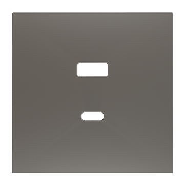 ZS70. Cover plate for double USB C+A  charger 70x70 mm - Silver