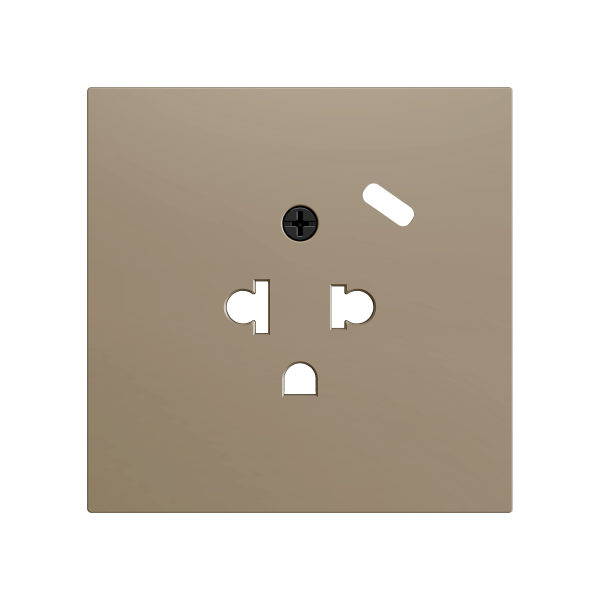 ZS70. Euro-American socket cover with USB C 70X70 mm - Champagne