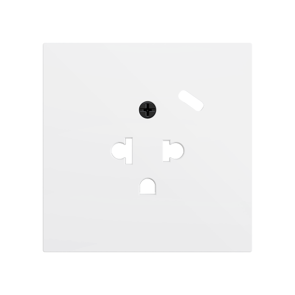 ZS70. Euro-American socket cover with USB C 70X70 mm - Matt white