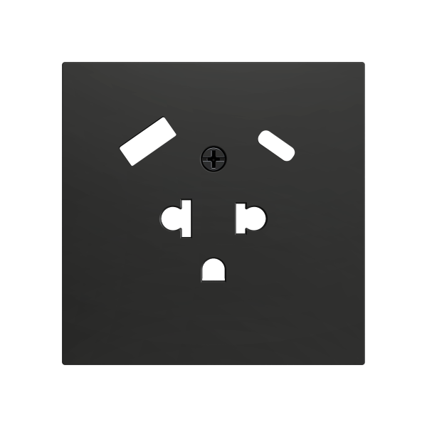 ZS70. Euro-American socket cover with USB C and A 70X70 mm - Anthracite