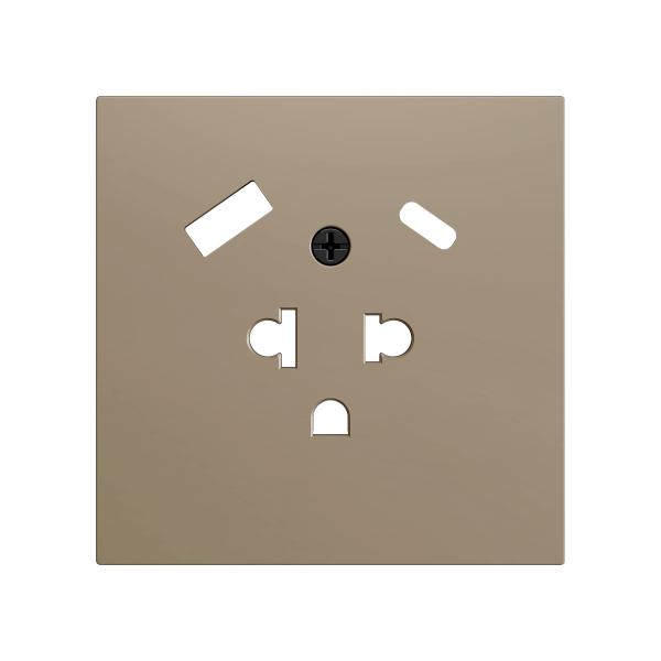 ZS70. Euro-American socket cover with USB C and A 70X70 mm - Champagne