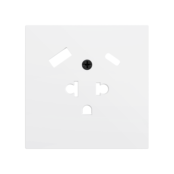 ZS70. Euro-American socket cover with USB C and A 70X70 mm - Matt white