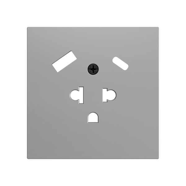 ZS70. Euro-American socket cover with USB C and A 70X70 mm - Silver