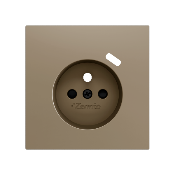 ZS70. French socket cover with USB C 70x70 mm - Champagne