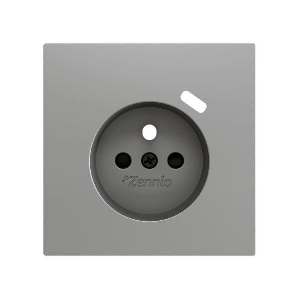 ZS70. French socket cover with USB C 70x70 mm - Silver
