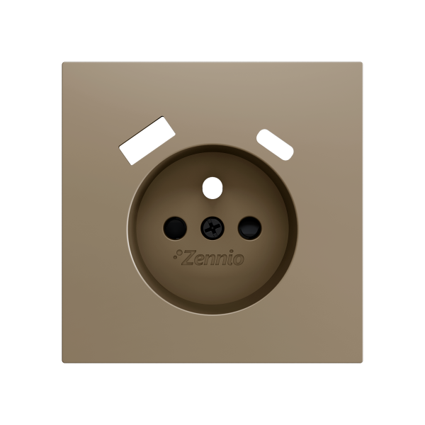 ZS70. French socket cover with USB C and A 70x70 mm - Champagne