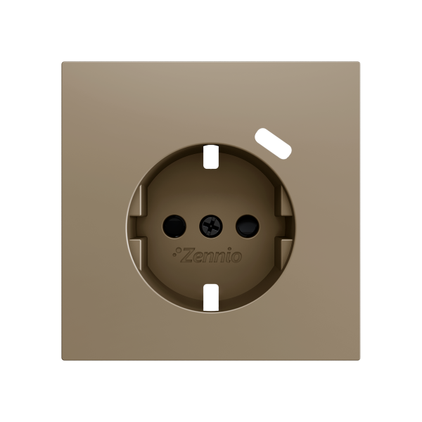 ZS70. Schuko socket cover with USB C 70x70 mm - Champagne