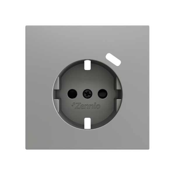 ZS70. Schuko socket cover with USB C 70x70 mm - Silver
