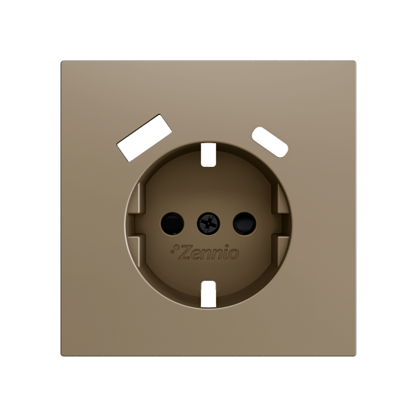 ZS70. Schuko socket cover with USB C and A 70x70 mm - Champagne